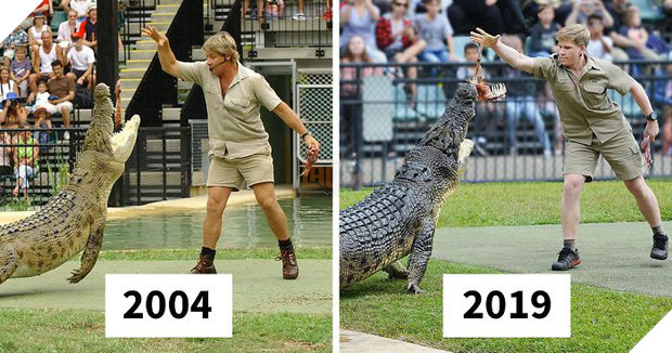 Ra tay cứu chữa hàng nghìn con vật trong thảm hoạ cháy rừng Úc, gia đình “thợ săn cá sấu” lừng danh được dư luận hết lời tán dương 5