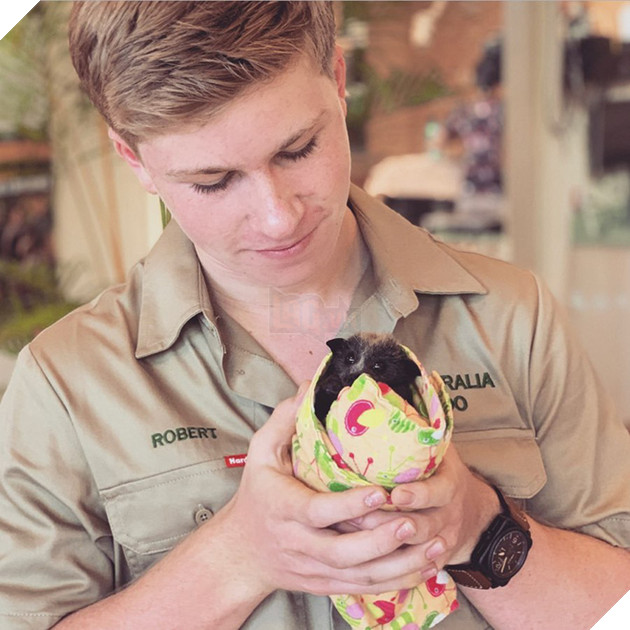 Ra tay cứu chữa hàng nghìn con vật trong thảm hoạ cháy rừng Úc, gia đình “thợ săn cá sấu” lừng danh được dư luận hết lời tán dương 8