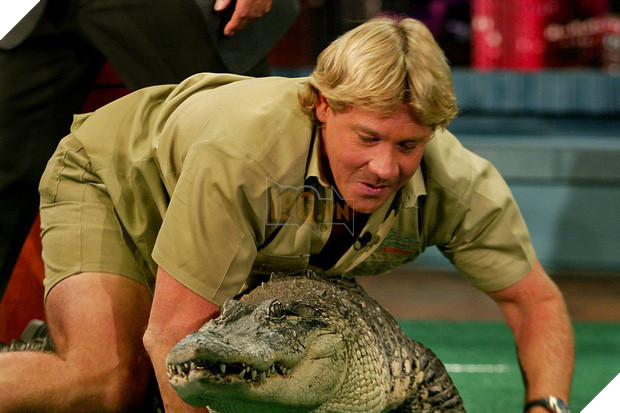 Ra tay cứu chữa hàng nghìn con vật trong thảm hoạ cháy rừng Úc, gia đình “thợ săn cá sấu” lừng danh được dư luận hết lời tán dương 2