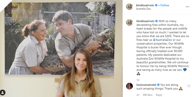 Ra tay cứu chữa hàng nghìn con vật trong thảm hoạ cháy rừng Úc, gia đình “thợ săn cá sấu” lừng danh được dư luận hết lời tán dương 10