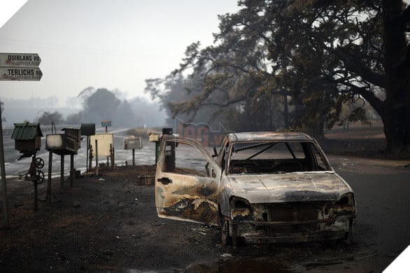 
Khung cảnh hoang tàn sau đợt cháy kéo dài (Ảnh: AFP)