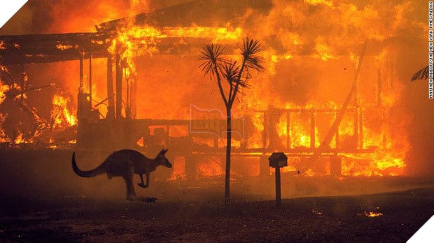  
Cháy rừng kinh hoàng ở Úc (Ảnh: BBC)