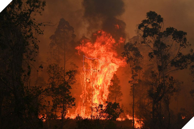 Truy tố 24 người vì tội cố ý phóng hỏa gây ra cháy rừng thảm họa tại Úc: “Họ cảm thấy phấn khích khi nhìn lửa bốc lên”