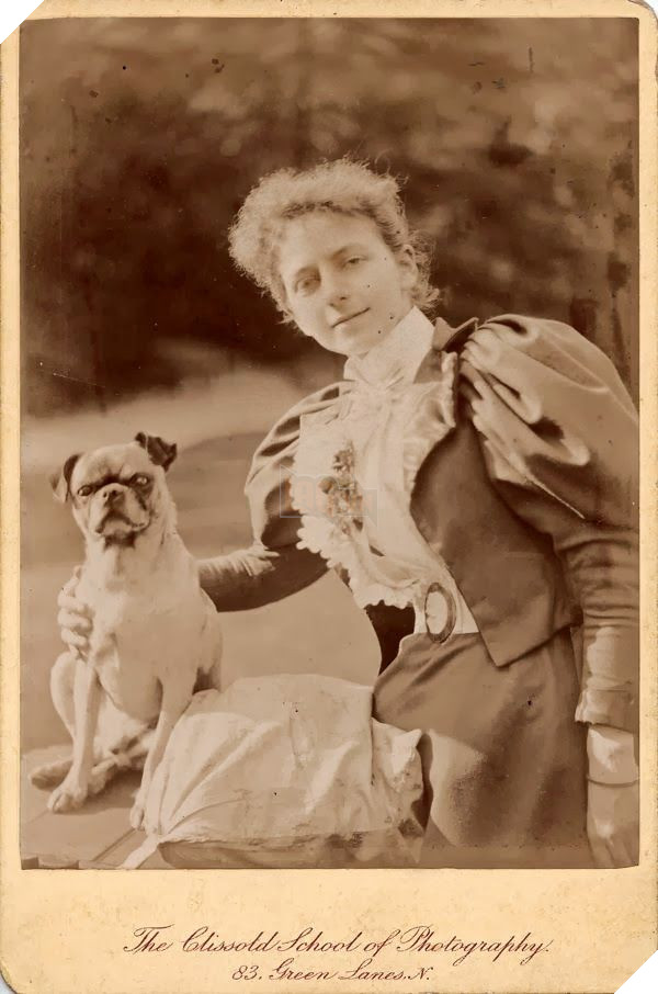 Chó Pug: Đằng sau vẻ dễ thương là tấn bi kịch mua vui cho loài người 7