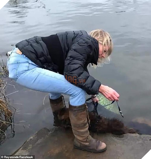 Bị chủ nhân buộc đá vào chân thả xuống sông, chú chó tội nghiệp vật lộn cố ngoi lên mặt nước để giữ mạng sống