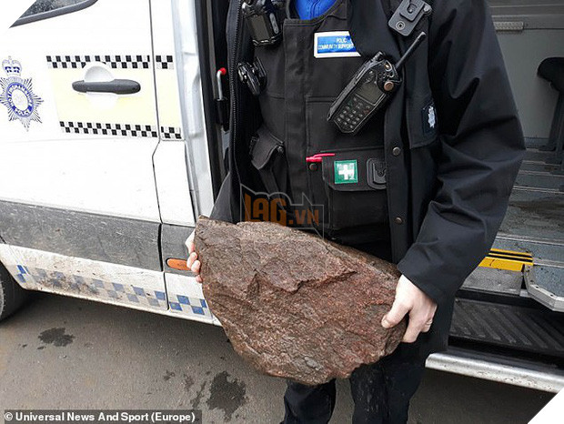 Bị chủ nhân buộc đá vào chân thả xuống sông, chú chó tội nghiệp vật lộn cố ngoi lên mặt nước để giữ mạng sống 3