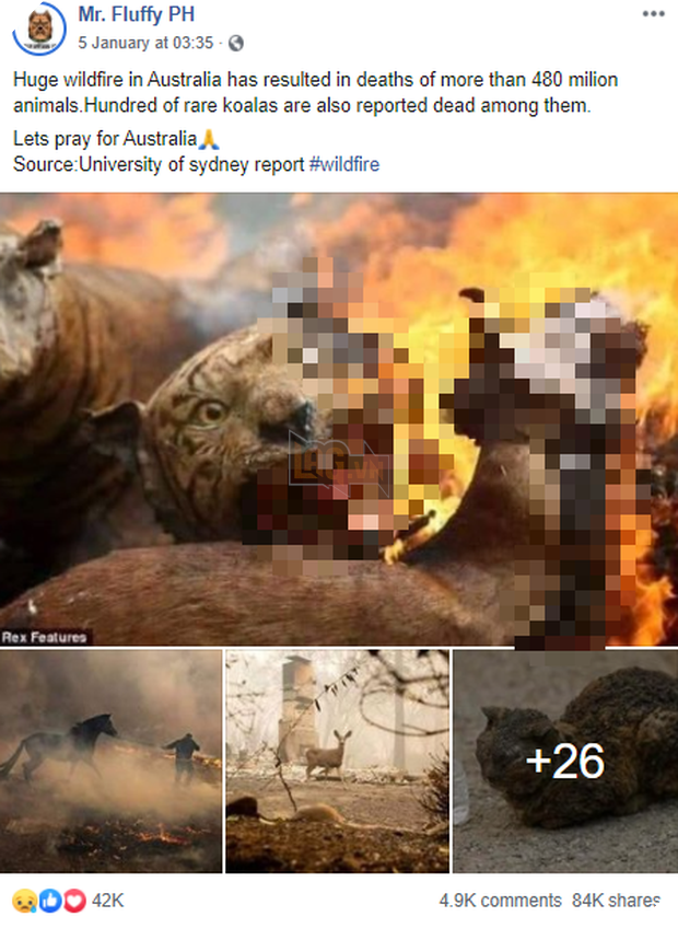 Loạt hình ảnh tràn lan trên MXH về đại thảm họa cháy rừng ở Úc: Giải cứu kangaroo, cô bé và bức tường lửa... đều không phải là thật - Ảnh 1.