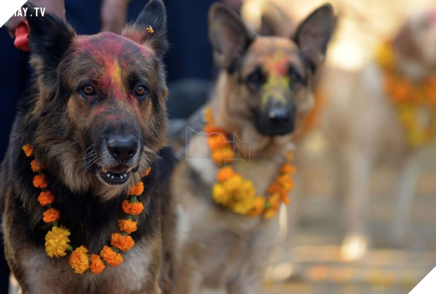 Mô tả hình ảnh