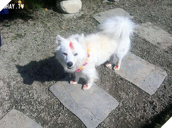 Mô tả hình ảnh