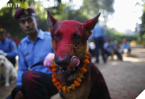 Mô tả hình ảnh