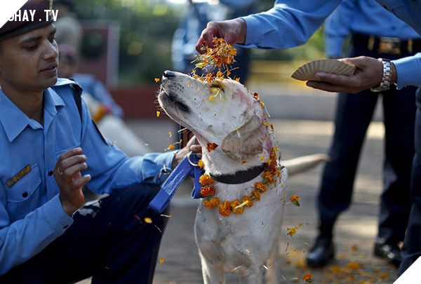 Mô tả hình ảnh
