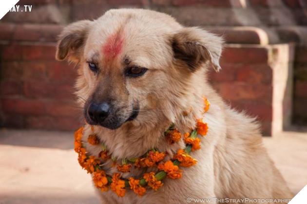 Mô tả hình ảnh