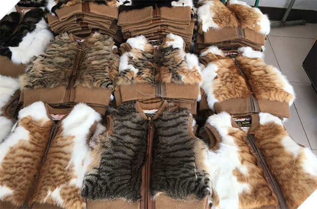 Nở rộ ng&#224;nh c&#244;ng nghiệp l&#244;ng m&#232;o t&#224;n bạo tại Trung Quốc khiến h&#224;ng trăm ngh&#236;n người y&#234;u động vật thế giới x&#243;t xa - Ảnh 3.