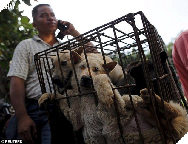 Mô tả hình ảnh