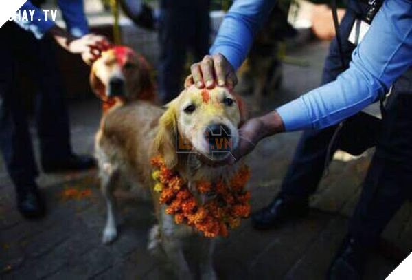 Mô tả hình ảnh