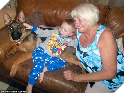 Chú cún tưởng mình là trẻ con, mê ngậm ti giả và bú bình 5