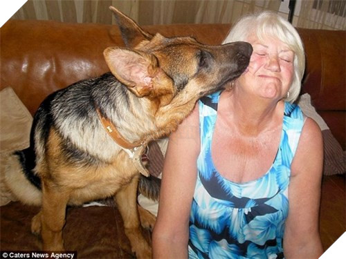 Chú cún tưởng mình là trẻ con, mê ngậm ti giả và bú bình 8