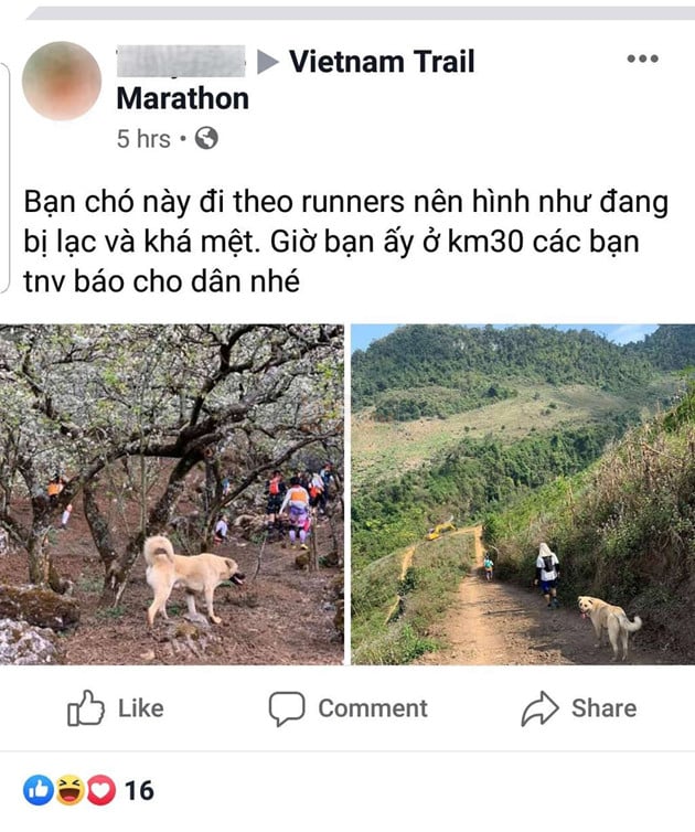 Ham vui, chú cún đuổi theo đoàn chạy Marathon suốt 42 km giành luôn chức vô địch, khiến cho chủ phải hoảng hồn đón về bằng taxi 7