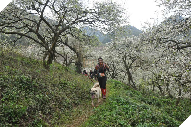 Ham vui, chú cún đuổi theo đoàn chạy Marathon suốt 42 km giành luôn chức vô địch, khiến cho chủ phải hoảng hồn đón về bằng taxi 3