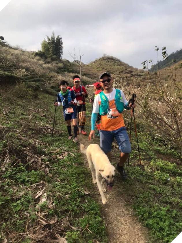 Ham vui, chú cún đuổi theo đoàn chạy Marathon suốt 42 km giành luôn chức vô địch, khiến cho chủ phải hoảng hồn đón về bằng taxi 4