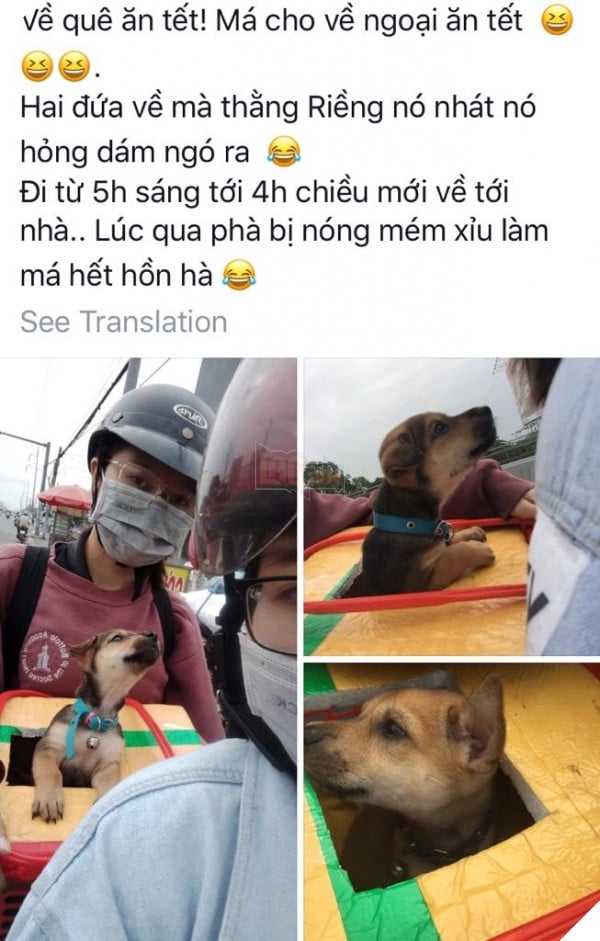 TẾT ĐẾN RỒI Cư dân mạng hài hước chia sẻ ảnh mang thú cưng về quê ăn Tết 3