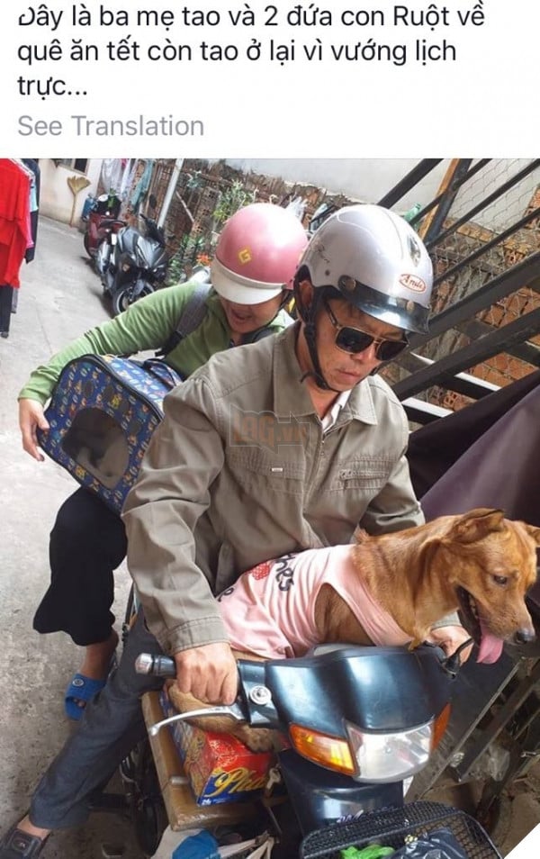 TẾT ĐẾN RỒI Cư dân mạng hài hước chia sẻ ảnh mang thú cưng về quê ăn Tết 4
