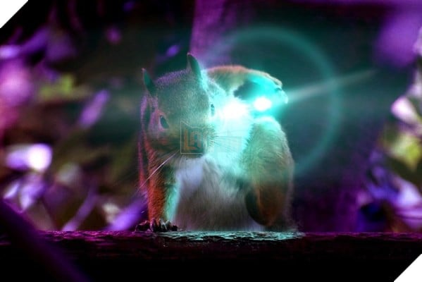 Có thể bạn chưa biết : Những chú sóc đáng yêu khi nhảy từ trên cao xuống sẽ tiếp đất với tư thế của các siêu anh hùng