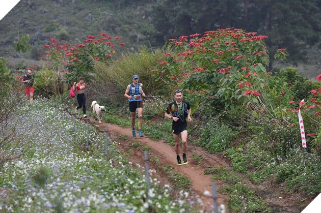 Ham vui, chú cún đuổi theo đoàn chạy Marathon suốt 42 km giành luôn chức vô địch, khiến cho chủ phải hoảng hồn đón về bằng taxi 6