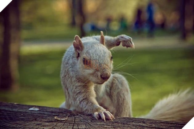  
Bao "ngầu" luôn nha!.