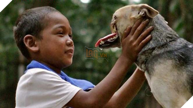 Anh hùng không ngại hiểm nguy cho dù mất đi nửa khuôn mặt 4