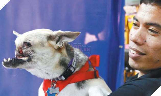 Anh hùng không ngại hiểm nguy cho dù mất đi nửa khuôn mặt 5