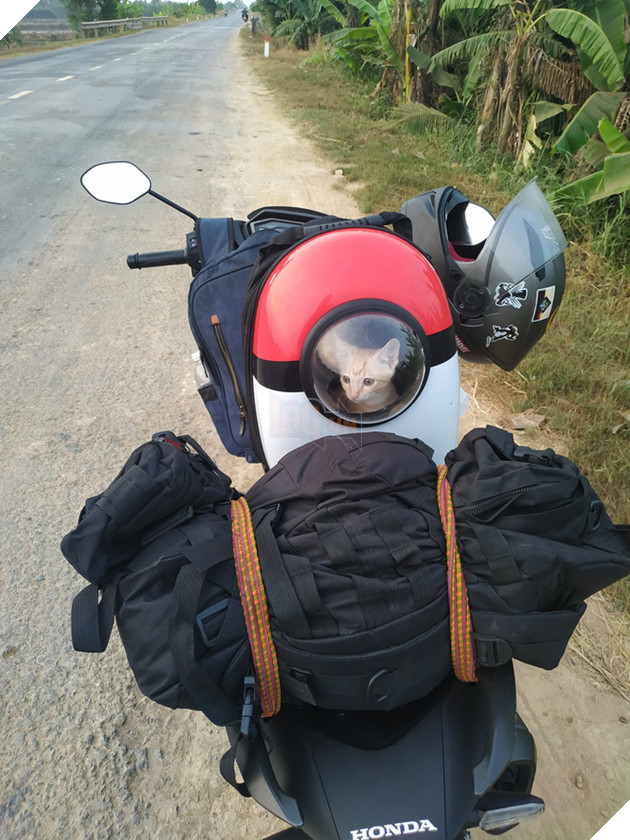 “Đại Boss” về quê ăn Tết sướng hơn chúng ta: Có đứa phè phỡn đi xe 4 bánh, đứa hoá “phượt thủ” cool ngầu 6