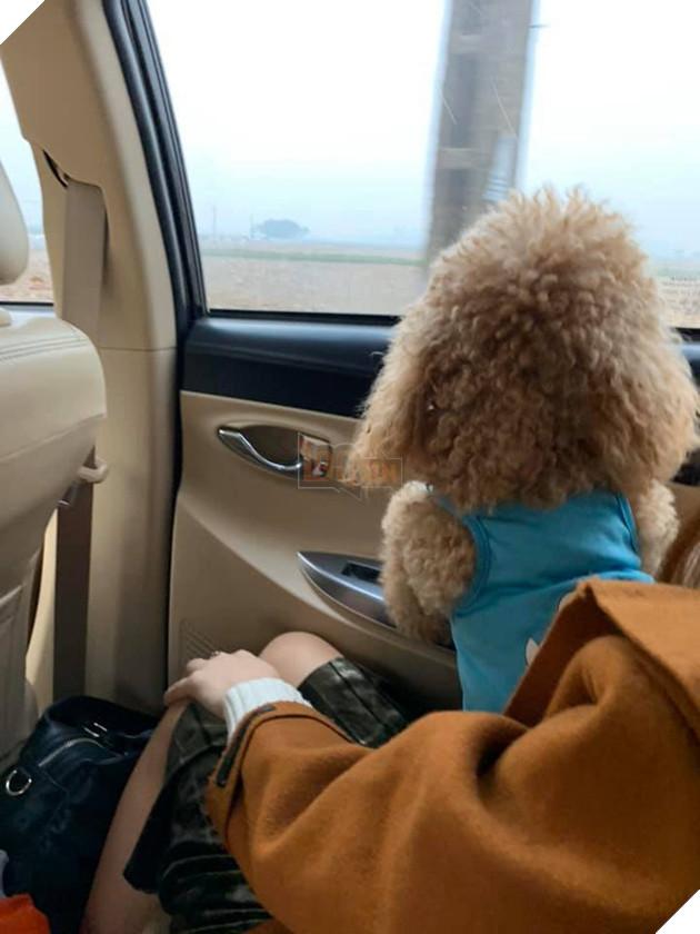 “Đại Boss” về quê ăn Tết sướng hơn chúng ta: Có đứa phè phỡn đi xe 4 bánh, đứa hoá “phượt thủ” cool ngầu 5