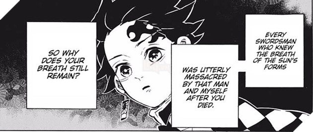 Kimetsu no Yaiba: Bí ẩn thảm kịch gia đình Kamado – Vì sao Muzan phải ra tay giết một gia đình bán than? - Ảnh 8.