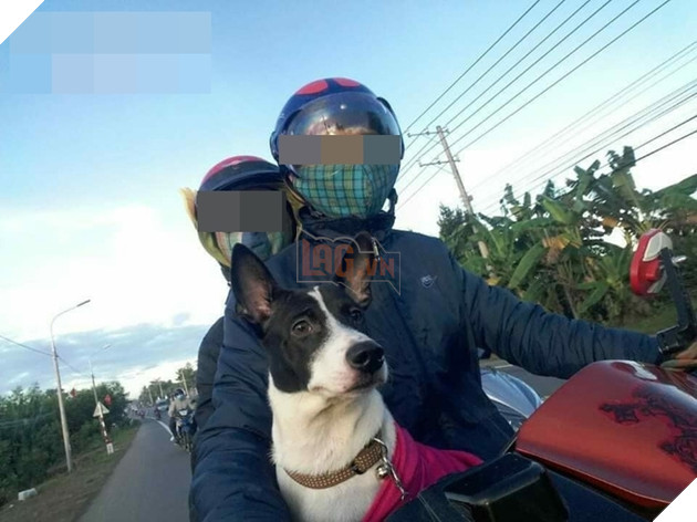  
"Sen ơi mình đi đâu thế?" (Ảnh: Phương Chi)