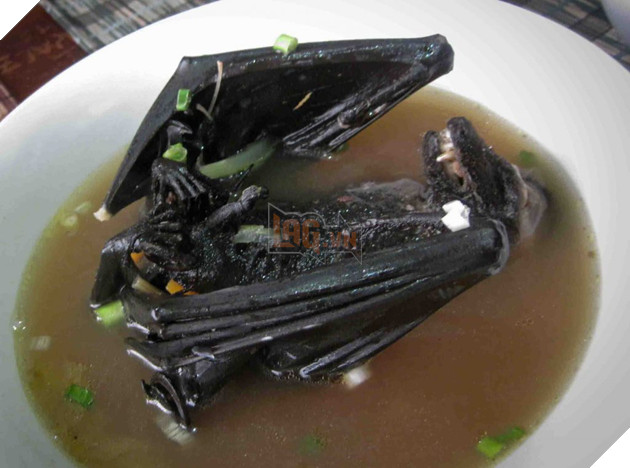 Đột nhập khu chợ động vật tại Trung Quốc chính là tâm điểm gây ra bùng phát virus: Koala, dơi, rắn, chuột đều được bày bán 3