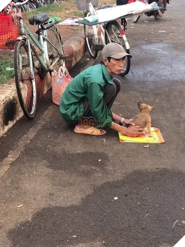 Câu chuyện “Lão Hạc” bán chó giữa đời thật và sự thiện lành ngày cuối năm khiến nhiều người xúc động