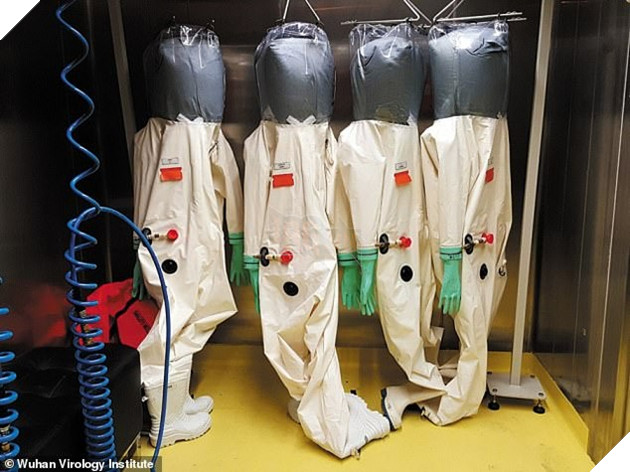 Xuất hiện giả thuyết virus corona có liên quan đến chương trình vũ khí sinh học ở Vũ Hán - Ảnh 1.