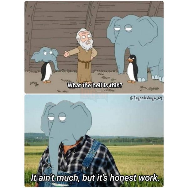 Meme What the hell is this (Voi Chim canh cut) la gi va bat nguon tu dau – Su ket hop ki cuc 5 Meme What the hell is this Voi Chim cánh cụt là gì và bắt nguồn từ đâu Sự kết hợp kì cục 5