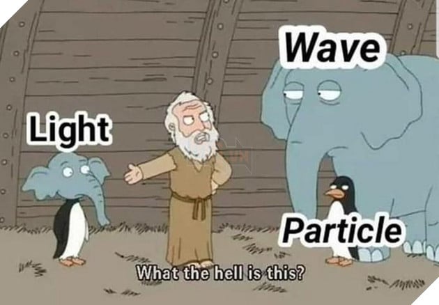 Meme What the hell is this (Voi Chim canh cut) la gi va bat nguon tu dau – Su ket hop ki cuc 9 Meme What the hell is this Voi Chim cánh cụt là gì và bắt nguồn từ đâu Sự kết hợp kì cục 9