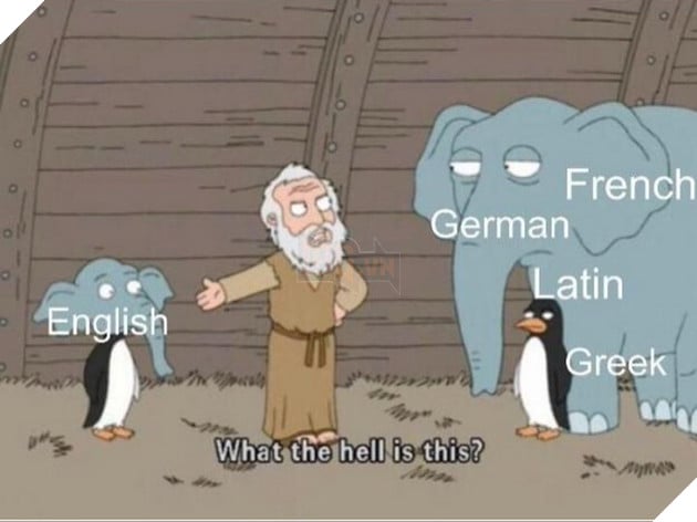 Meme What the hell is this (Voi Chim canh cut) la gi va bat nguon tu dau – Su ket hop ki cuc 12 Meme What the hell is this Voi Chim cánh cụt là gì và bắt nguồn từ đâu Sự kết hợp kì cục 12
