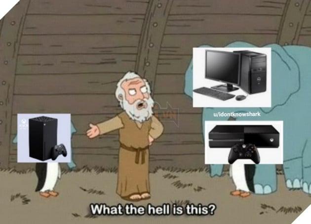 Meme What the hell is this Voi Chim cánh cụt là gì và bắt nguồn từ đâu Sự kết hợp kì cục 4