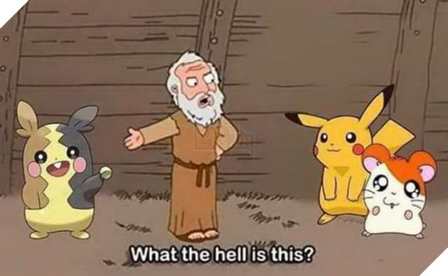 Meme What the hell is this (Voi Chim canh cut) la gi va bat nguon tu dau – Su ket hop ki cuc 13 Meme What the hell is this Voi Chim cánh cụt là gì và bắt nguồn từ đâu Sự kết hợp kì cục 13