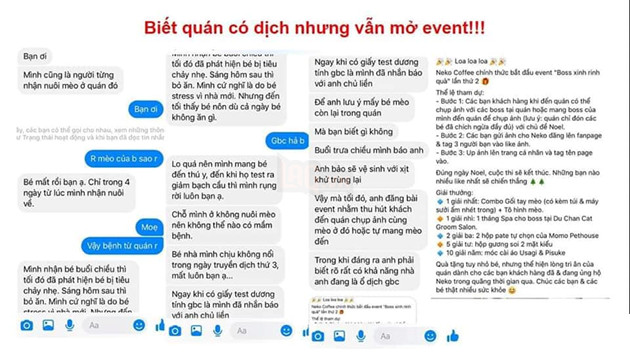 Kinh hoàng quán cà phê mèo có dịch bệnh nhưng vẫn tổ chức mini game cho khách hàng mang mèo đến khiến lây nhiễm chết hàng loạt và nhận mèo hoang nhưng bỏ mặc cho các em sống mất vệ sinh 3