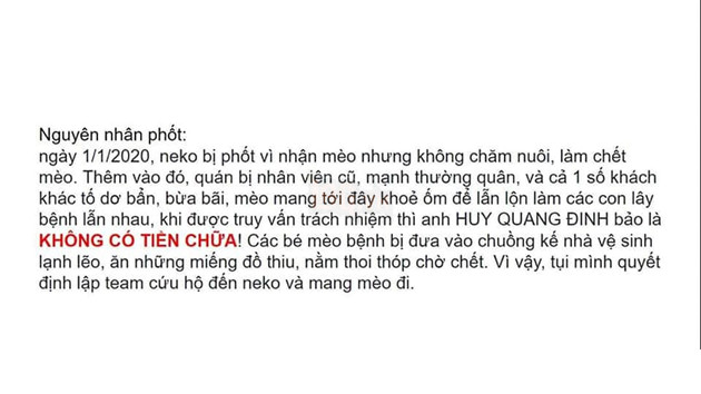 Kinh hoàng quán cà phê mèo có dịch bệnh nhưng vẫn tổ chức mini game cho khách hàng mang mèo đến khiến lây nhiễm chết hàng loạt và nhận mèo hoang nhưng bỏ mặc cho các em sống mất vệ sinh 4