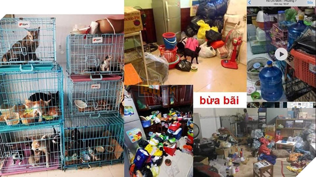 Kinh hoàng quán cà phê mèo có dịch bệnh nhưng vẫn tổ chức mini game cho khách hàng mang mèo đến khiến lây nhiễm chết hàng loạt và nhận mèo hoang nhưng bỏ mặc cho các em sống mất vệ sinh 5