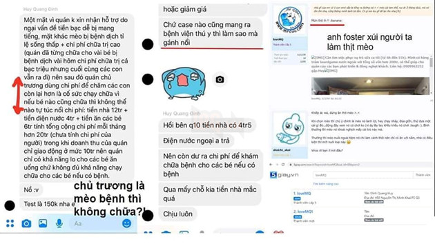 Kinh hoàng quán cà phê mèo có dịch bệnh nhưng vẫn tổ chức mini game cho khách hàng mang mèo đến khiến lây nhiễm chết hàng loạt và nhận mèo hoang nhưng bỏ mặc cho các em sống mất vệ sinh 6