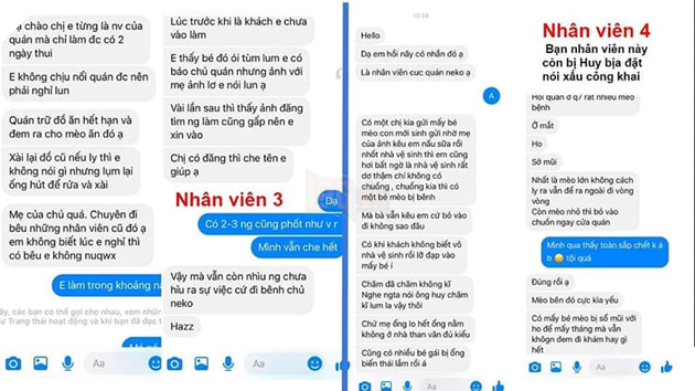 Kinh hoàng quán cà phê mèo có dịch bệnh nhưng vẫn tổ chức mini game cho khách hàng mang mèo đến khiến lây nhiễm chết hàng loạt và nhận mèo hoang nhưng bỏ mặc cho các em sống mất vệ sinh 8