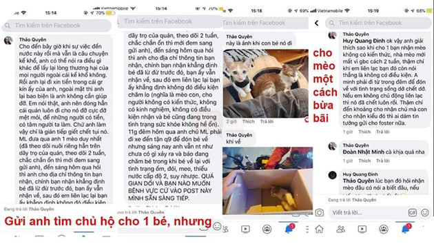 Kinh hoàng quán cà phê mèo có dịch bệnh nhưng vẫn tổ chức mini game cho khách hàng mang mèo đến khiến lây nhiễm chết hàng loạt và nhận mèo hoang nhưng bỏ mặc cho các em sống mất vệ sinh 14