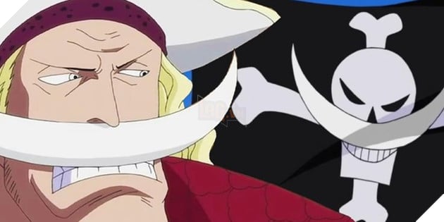 One Piece: 10 điều bạn chưa biết về 'Râu trắng' Edward Newgate P2  3